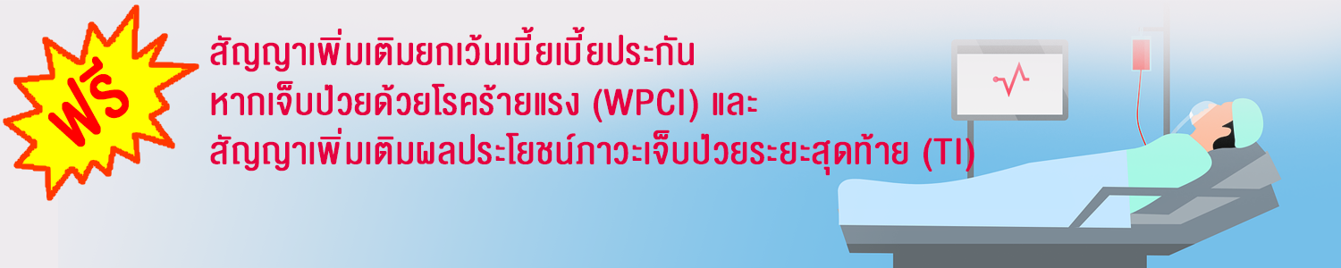 ผลประโยชน์สัญญาเพิ่มเติมฟรี