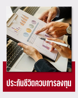 ประกันชีวิตควบการลงทุน