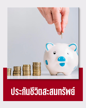 ประกันชีวิตสะสมทรัพย์